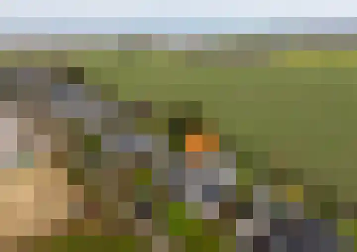 Buurtweg 189 Stavenisse thumbnail 48