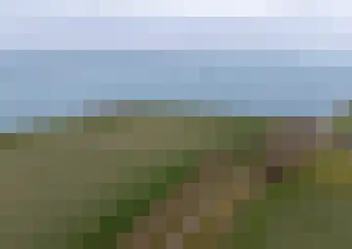 Buurtweg 189 Stavenisse thumbnail 51
