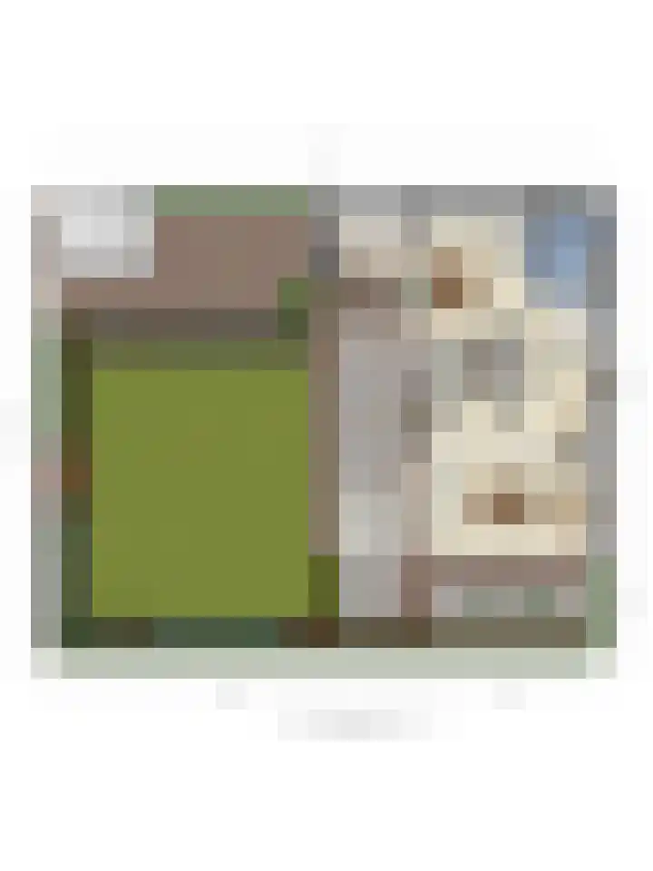 Buurtweg 189 Stavenisse thumbnail 54