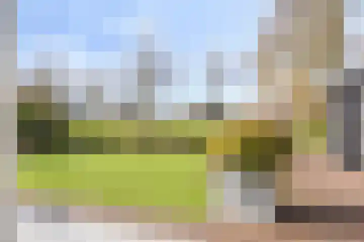 Buurtweg 189 Stavenisse thumbnail 6