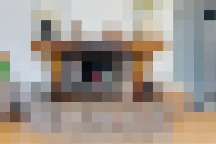 Buurtweg 19 Akersloot thumbnail 11