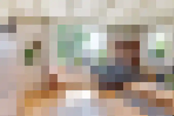 Buurtweg 19 Akersloot thumbnail 12