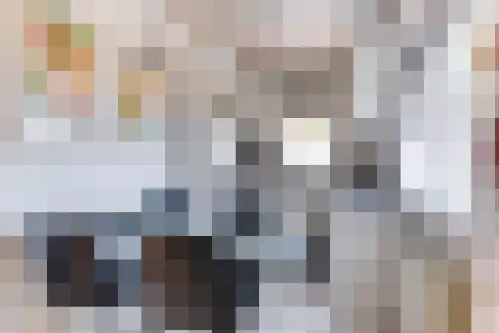Buurtweg 19 Akersloot thumbnail 13
