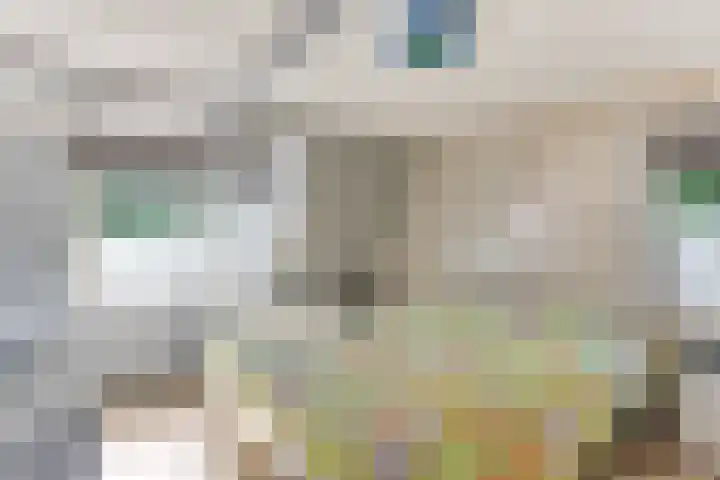 Buurtweg 19 Akersloot thumbnail 19