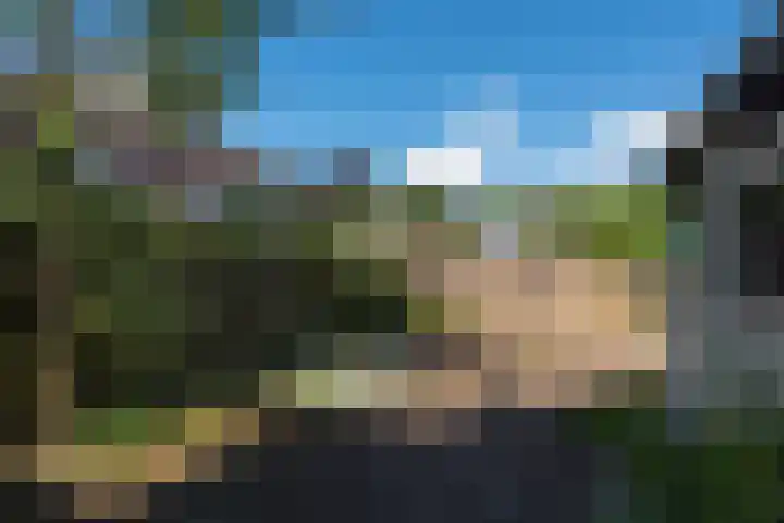 Buurtweg 19 Akersloot thumbnail 25