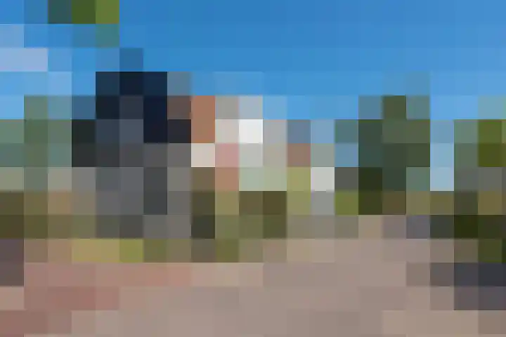 Buurtweg 19 Akersloot foto 3