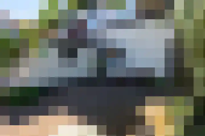 Buurtweg 19 Akersloot thumbnail 30