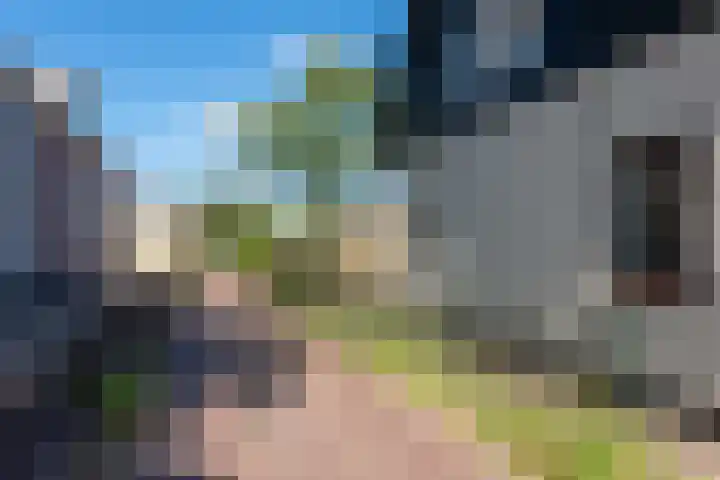 Buurtweg 19 Akersloot thumbnail 31