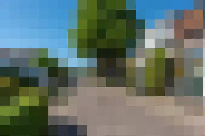 Buurtweg 19 Akersloot thumbnail 35