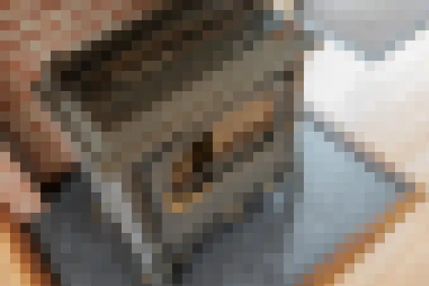 Buurtweg 31 Akersloot thumbnail 15