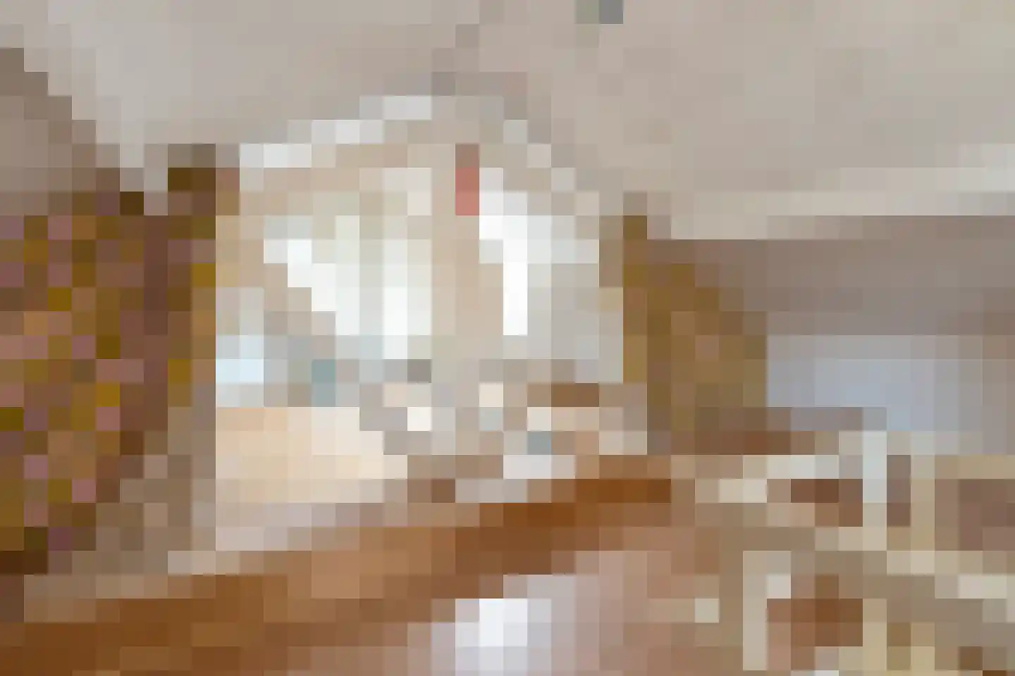 Buurtweg 31 Akersloot thumbnail 28