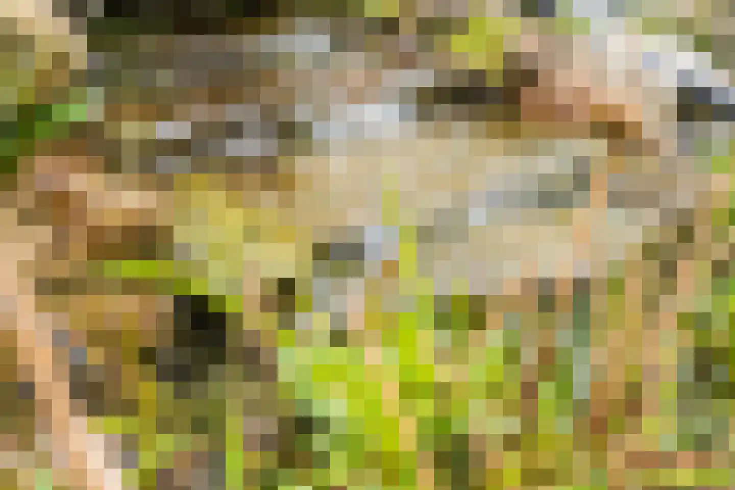Buurtweg 31 Akersloot thumbnail 35