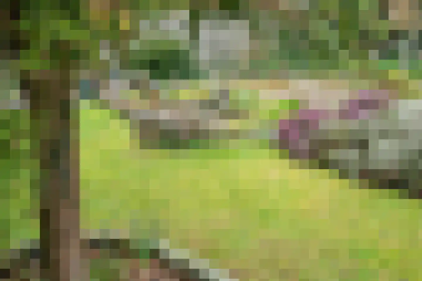 Buurtweg 31 Akersloot thumbnail 38