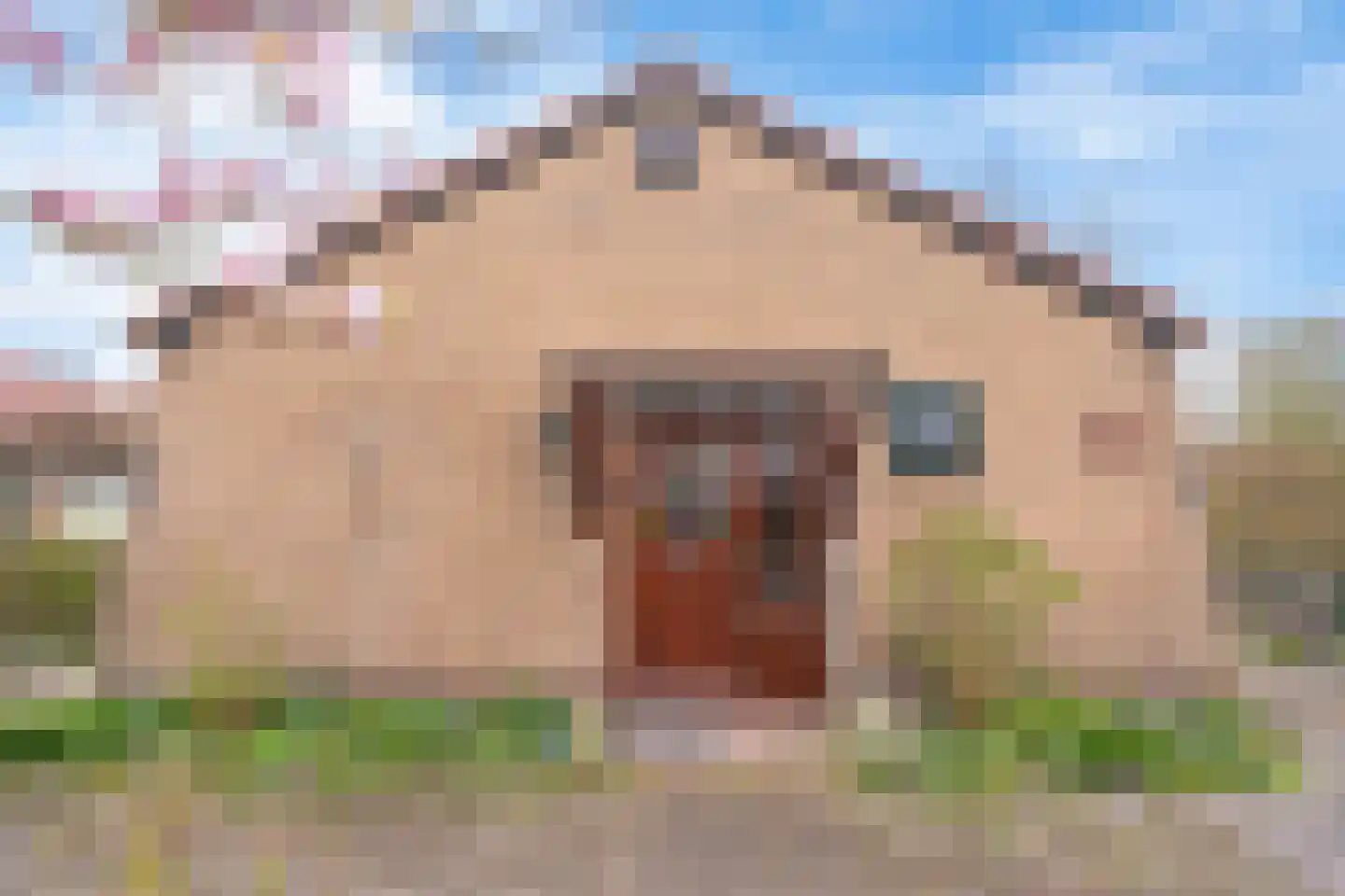 Buurtweg 31 Akersloot thumbnail 4