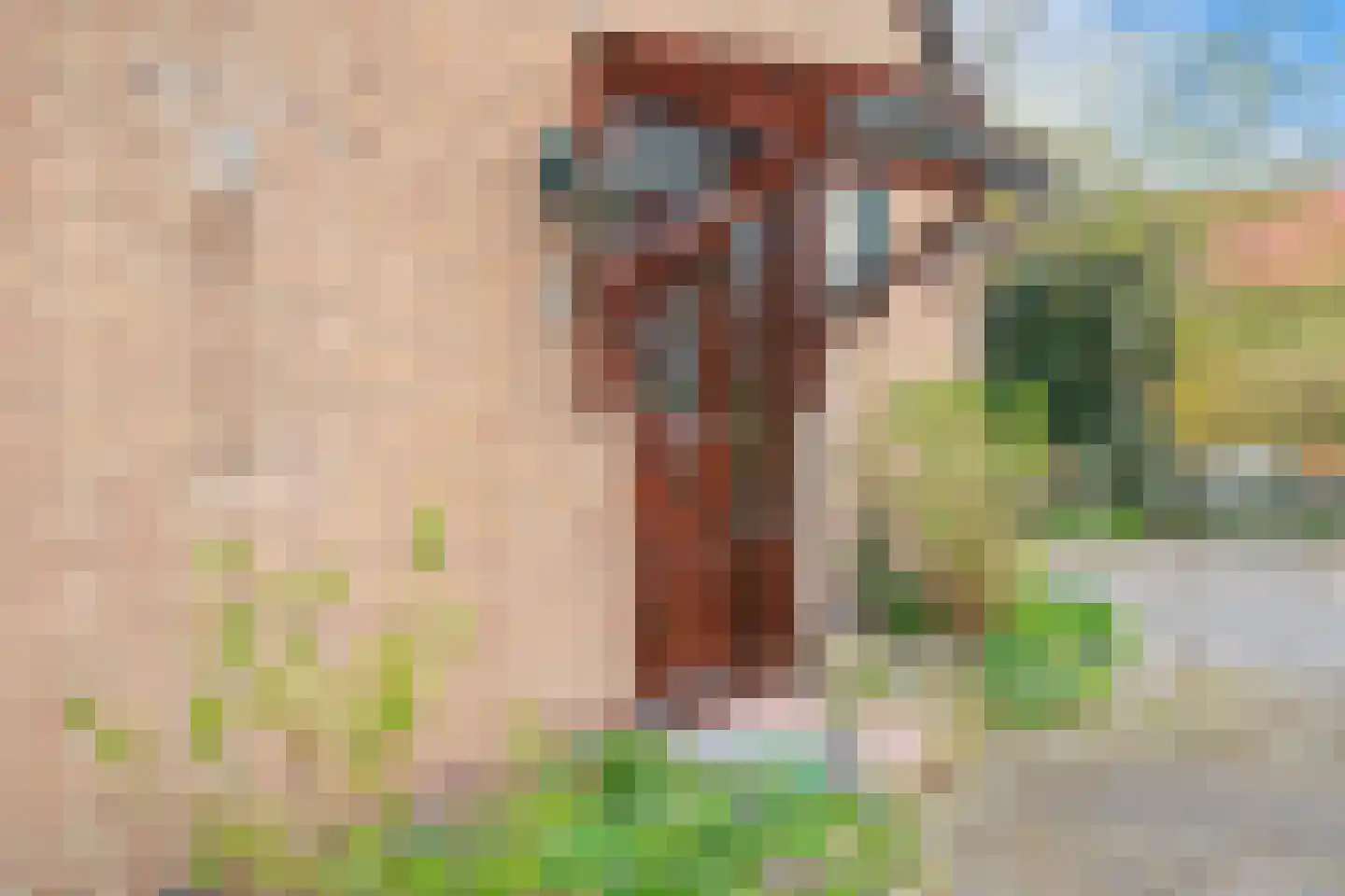 Buurtweg 31 Akersloot thumbnail 41