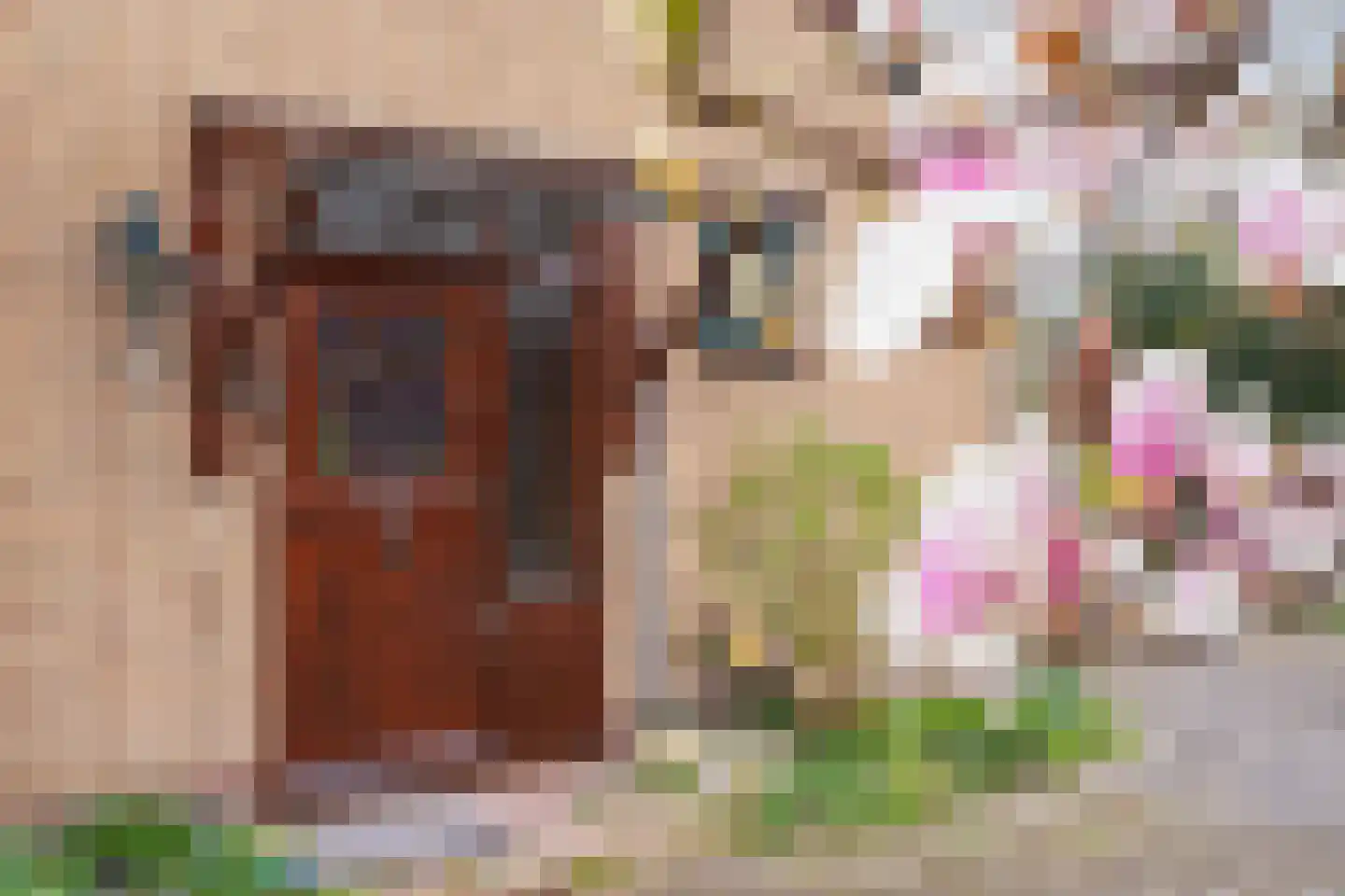 Buurtweg 31 Akersloot thumbnail 44