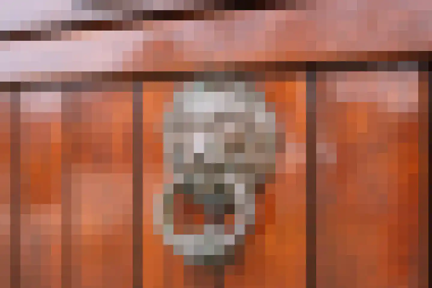 Buurtweg 31 Akersloot thumbnail 6