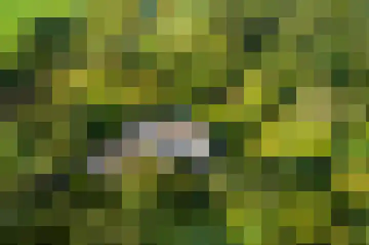 Buurtweg 38 Wassenaar thumbnail 10