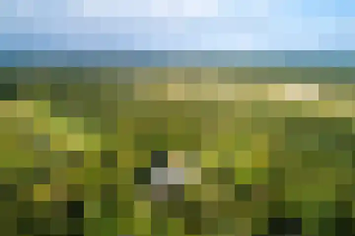 Buurtweg 38 Wassenaar thumbnail 12