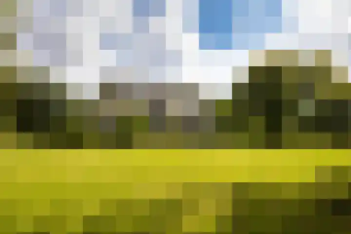 Buurtweg 38 Wassenaar thumbnail 4