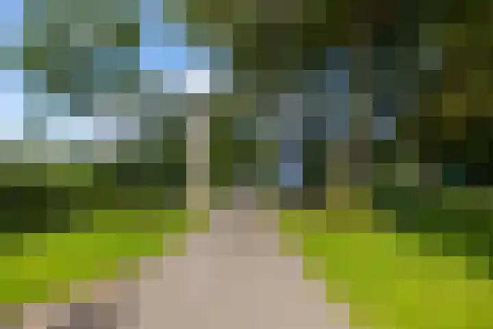 Buurtweg 38 Wassenaar thumbnail 5