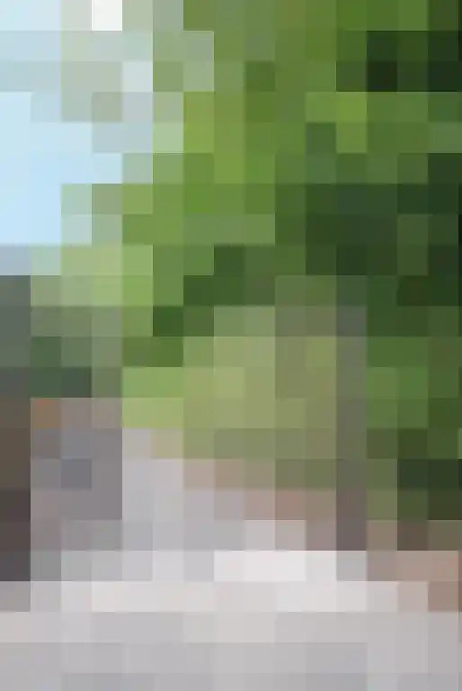 Buurtweg 42 Wassenaar thumbnail 5