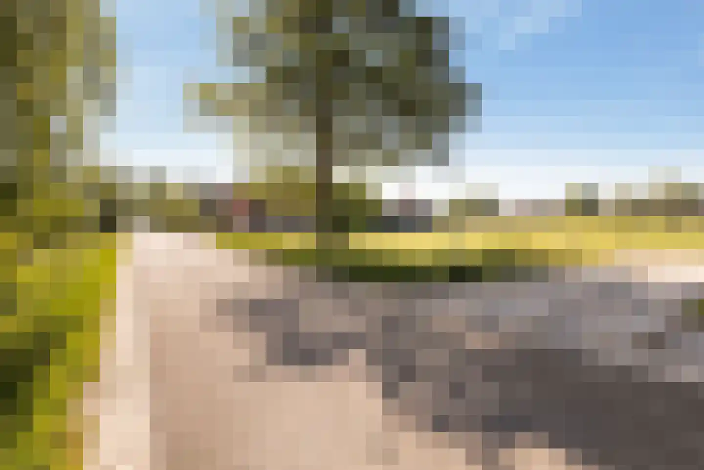 Buurtweg 44 Ederveen thumbnail 12