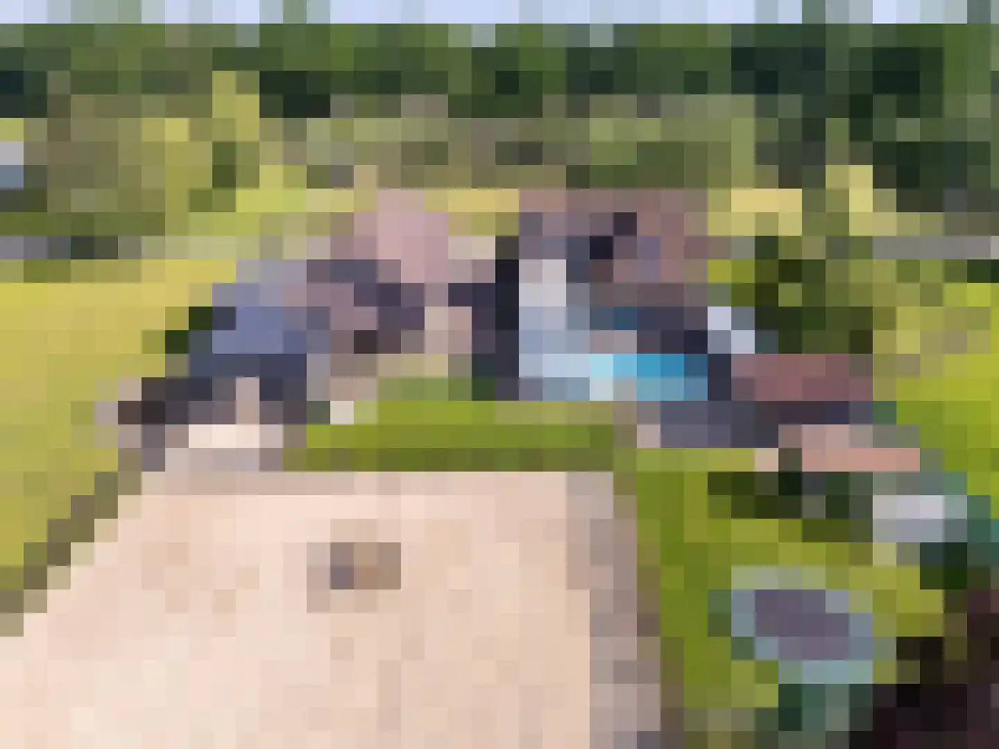 Buurtweg 44 Ederveen thumbnail 13
