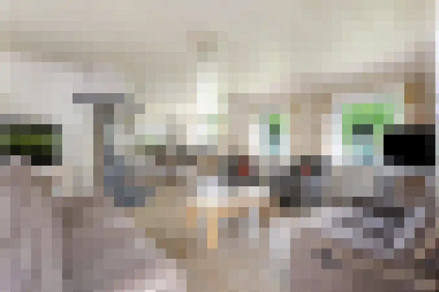 Buurtweg 44 Ederveen thumbnail 26