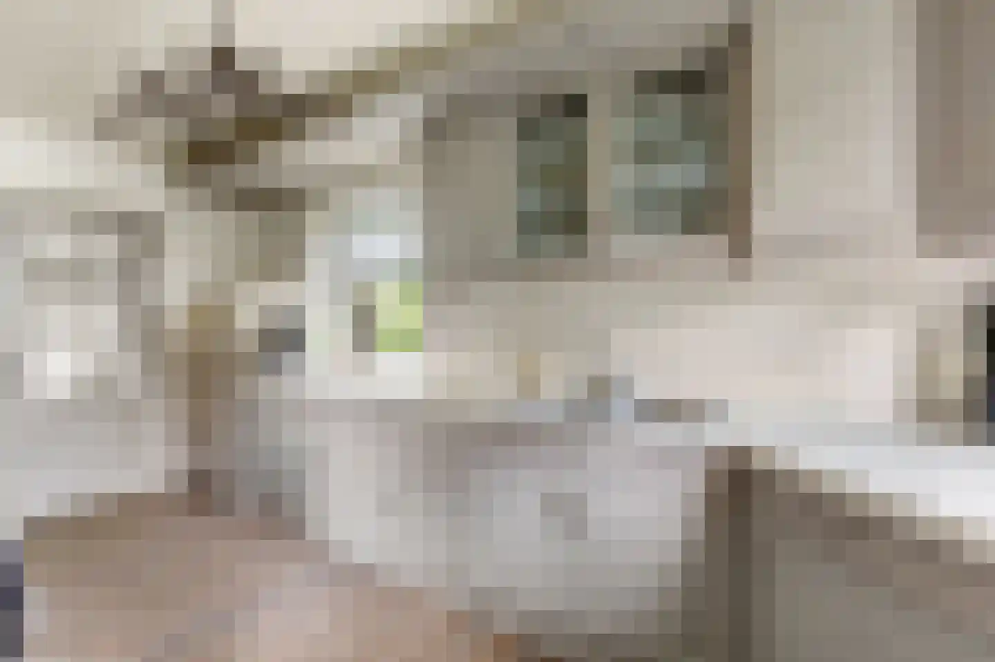 Buurtweg 44 Ederveen thumbnail 30