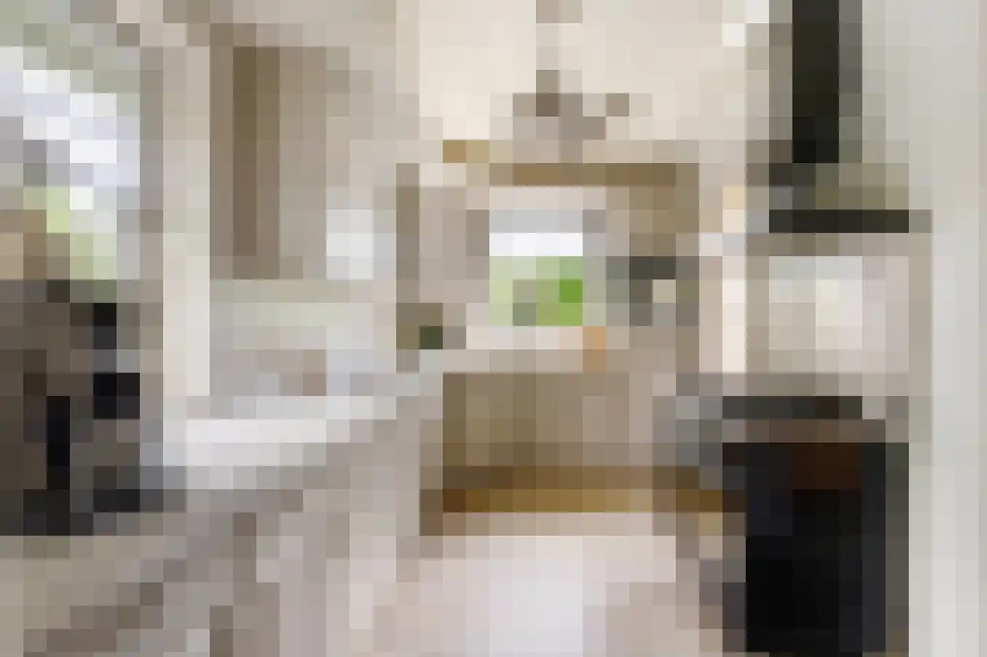 Buurtweg 44 Ederveen thumbnail 31