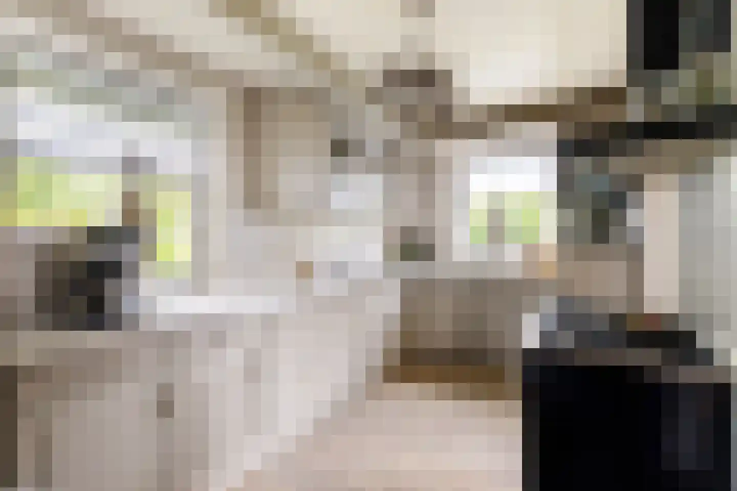 Buurtweg 44 Ederveen thumbnail 32