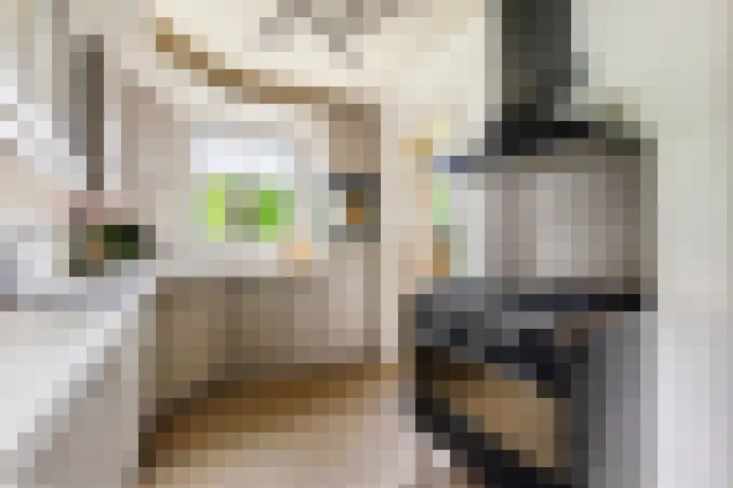 Buurtweg 44 Ederveen thumbnail 33