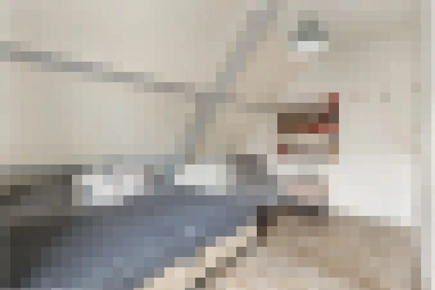 Buurtweg 44 Ederveen thumbnail 37