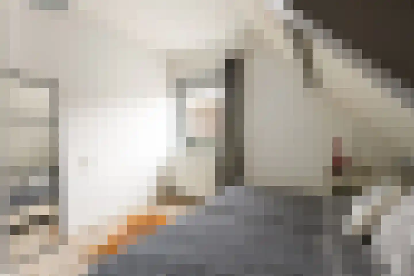 Buurtweg 44 Ederveen thumbnail 39
