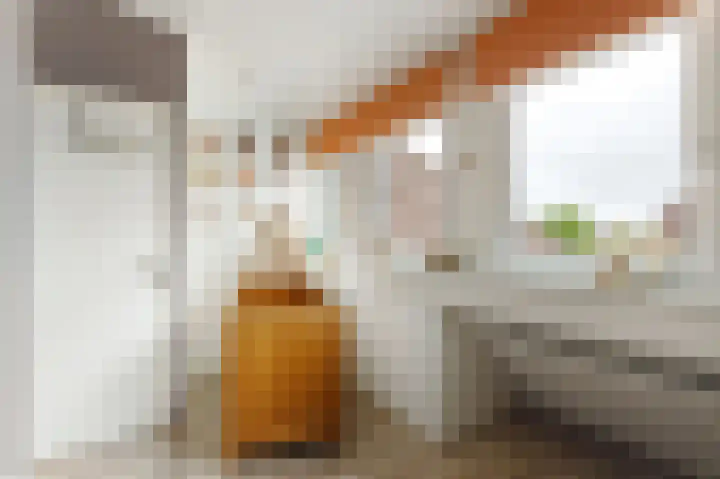 Buurtweg 44 Ederveen thumbnail 49