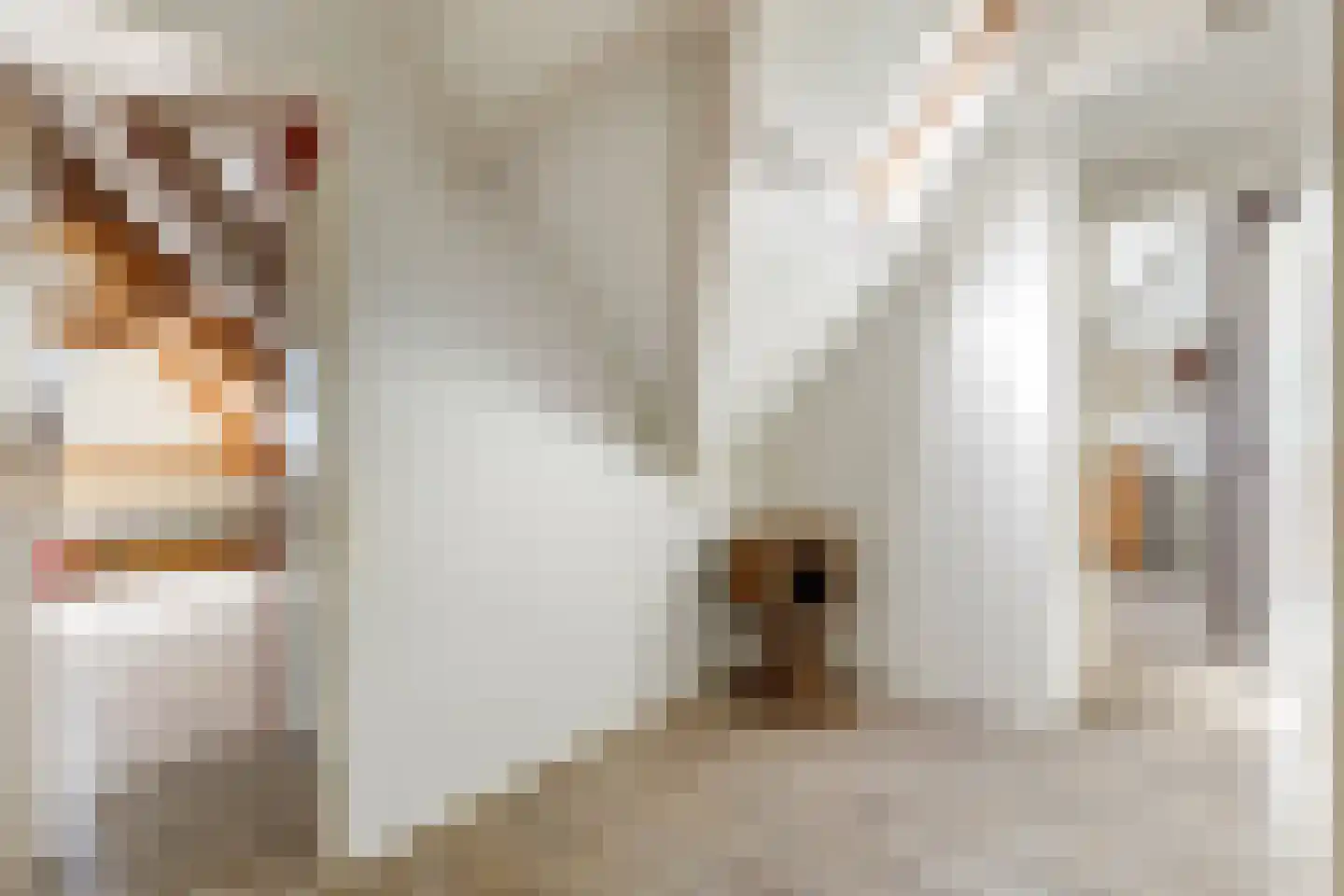Buurtweg 44 Ederveen thumbnail 50