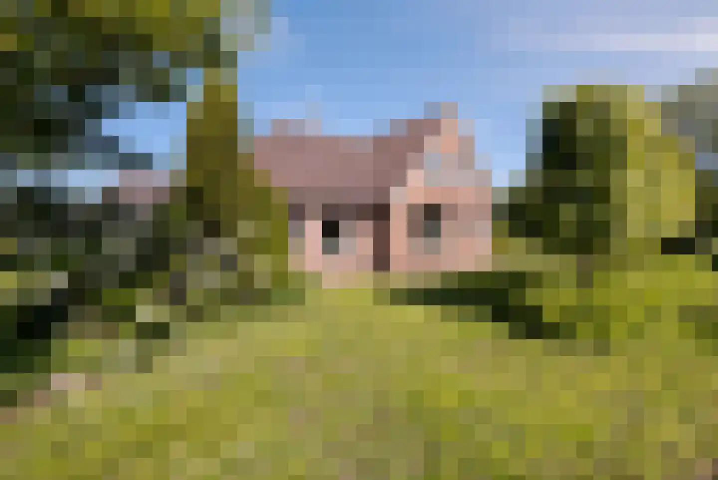 Buurtweg 44 Ederveen thumbnail 6
