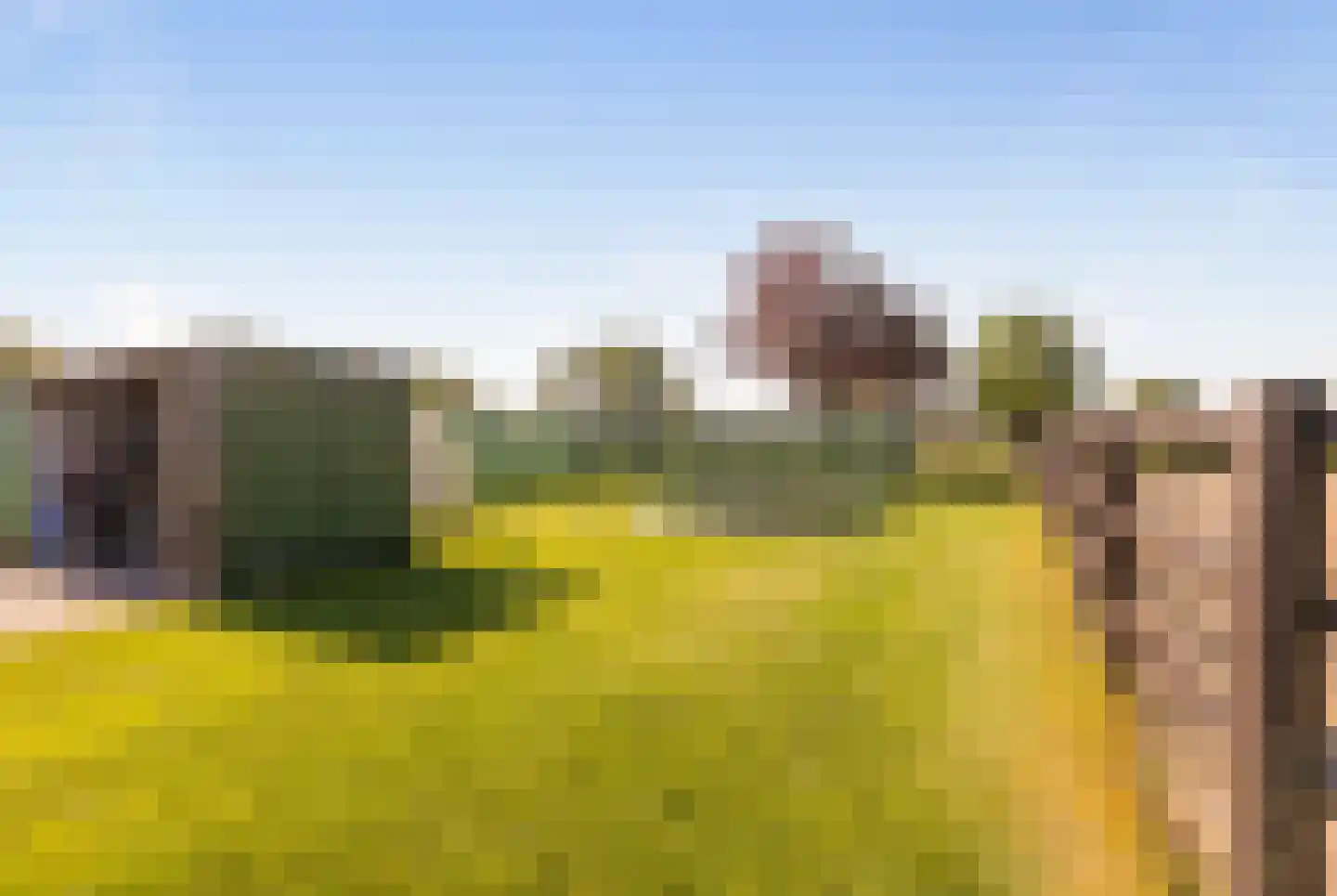 Buurtweg 44 Ederveen thumbnail 60