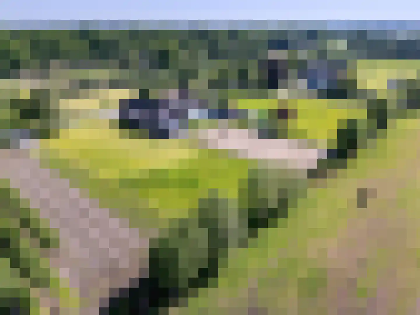 Buurtweg 44 Ederveen thumbnail 65