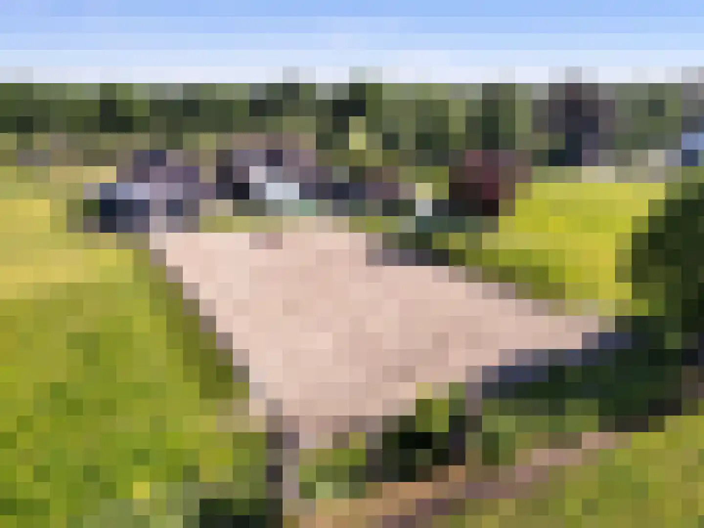 Buurtweg 44 Ederveen thumbnail 66