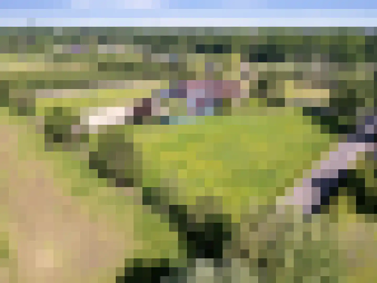Buurtweg 44 Ederveen thumbnail 67