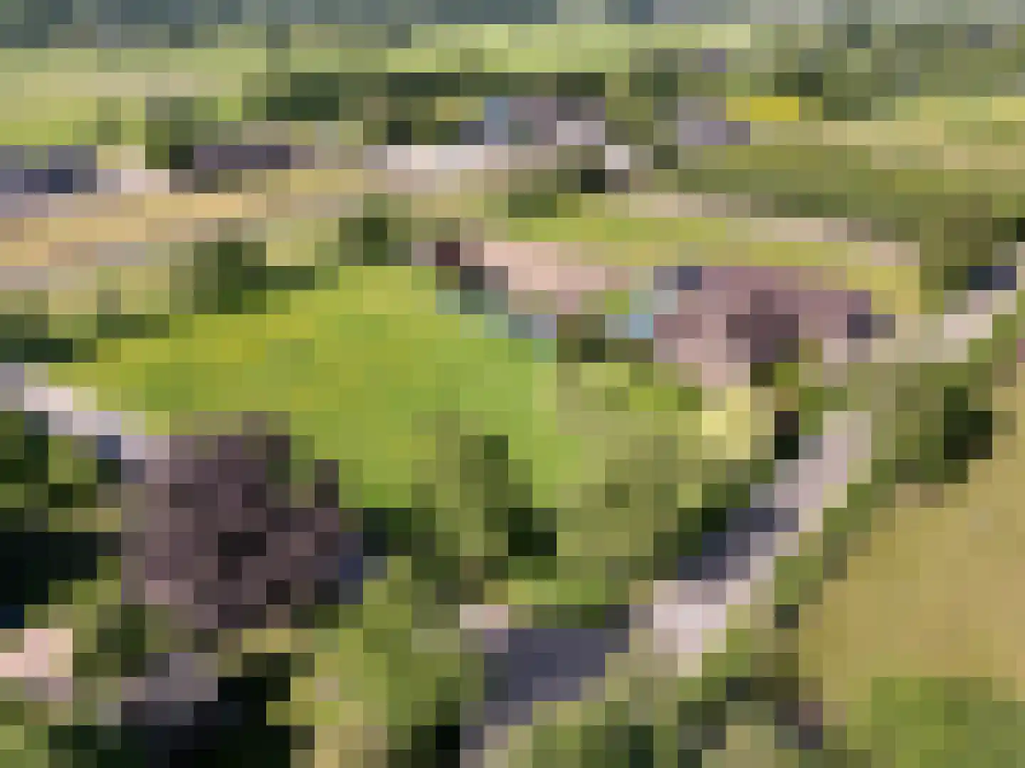 Buurtweg 44 Ederveen thumbnail 68
