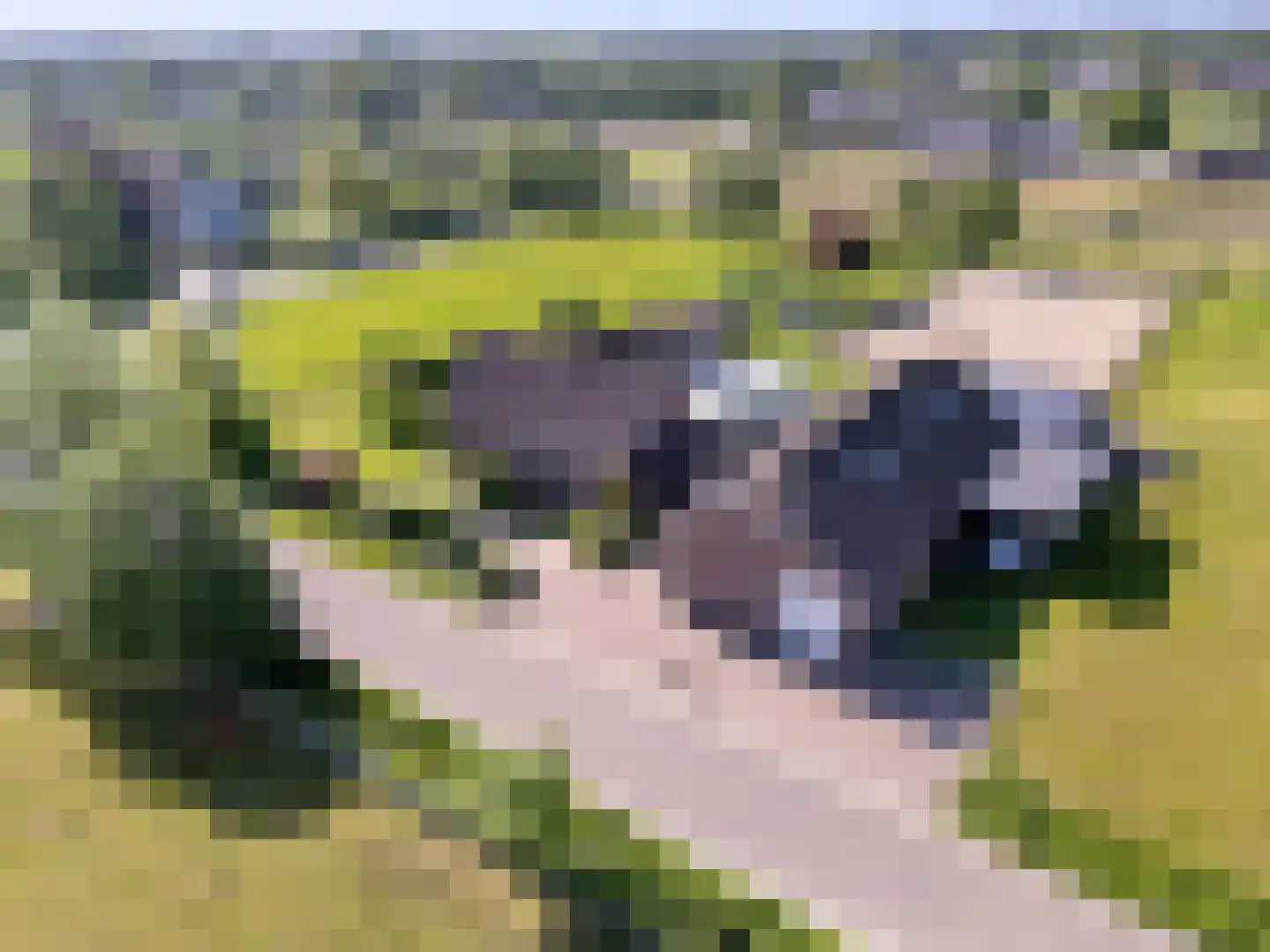 Buurtweg 44 Ederveen thumbnail 69
