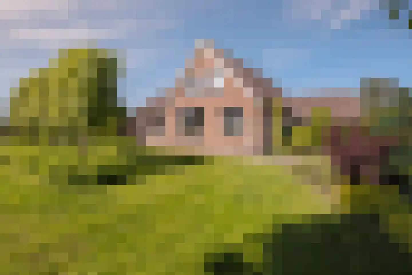 Buurtweg 44 Ederveen thumbnail 7