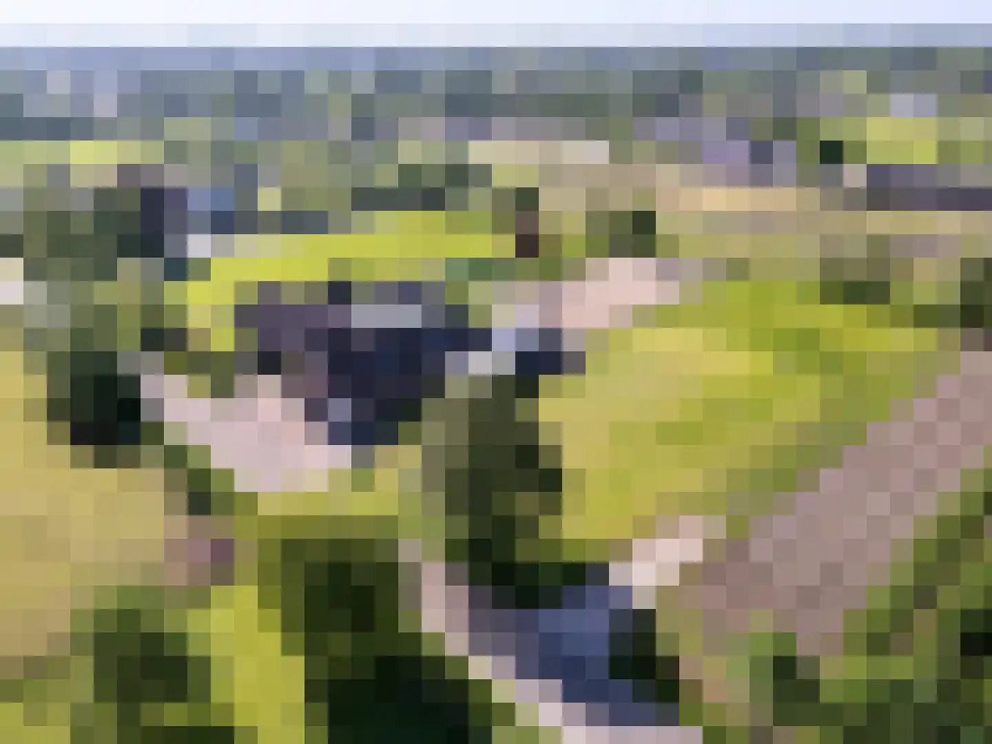 Buurtweg 44 Ederveen thumbnail 70