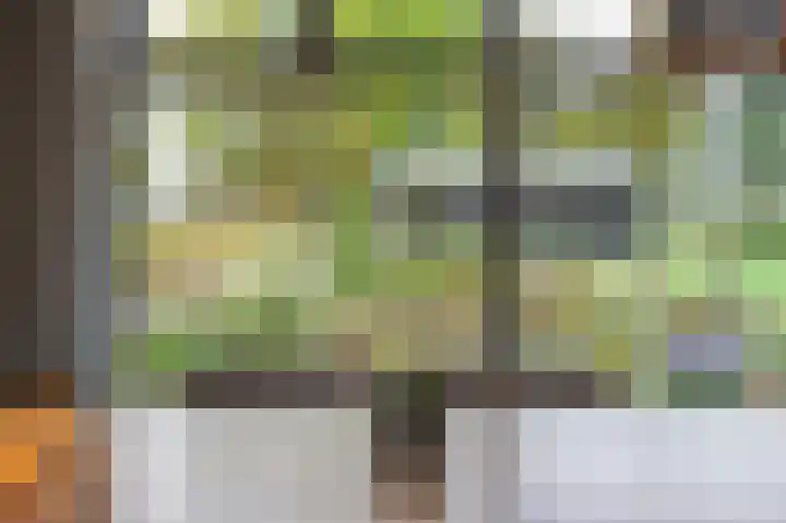 Buurtweg 46 Brummen thumbnail 17