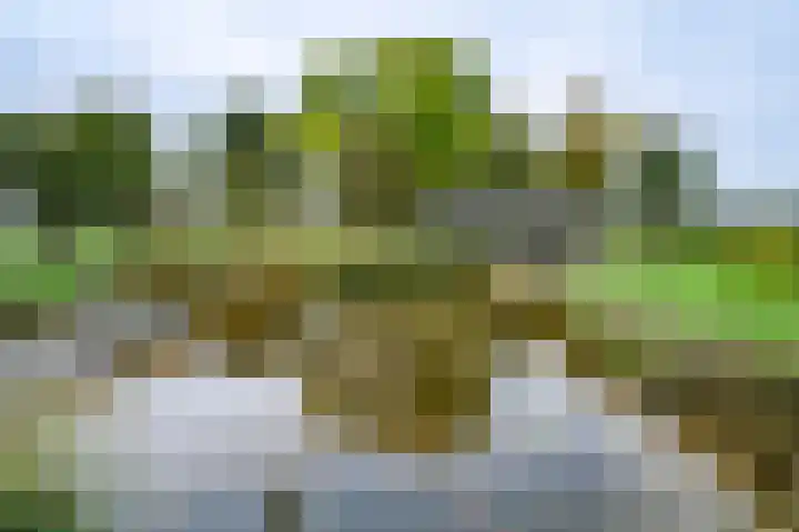 Buurtweg 46 Brummen thumbnail 31