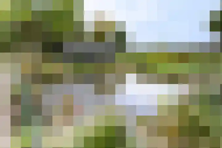 Buurtweg 46 Brummen thumbnail 32