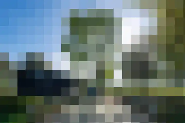 Buurtweg 46 Brummen thumbnail 34